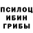 Псилоцибиновые грибы Magic Shrooms Victor Belinsky