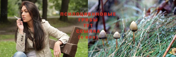 твердый Киреевск